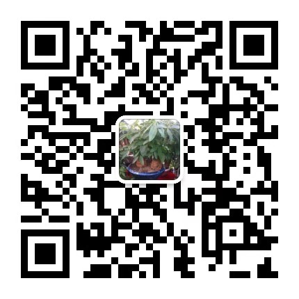 service qrcode